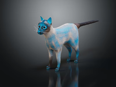 Blue And White Siamese Cat Standing On Dark Background With Reflection 3d model