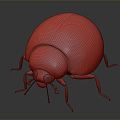 Modern ladybug ladybug insect 3d model