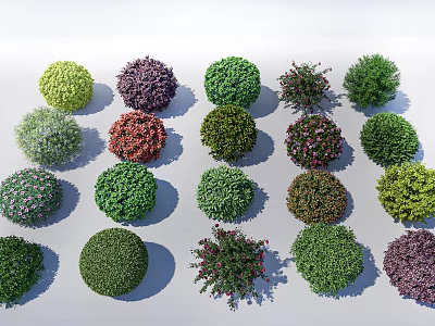 Different Types Of Colorful Round Shaped Shrubs For Garden Landscaping Design 3d model