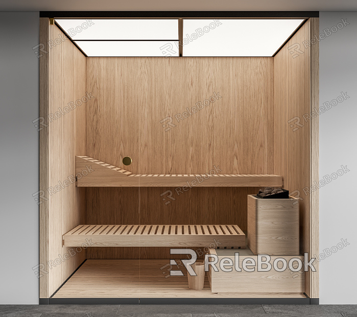 Modern Sauna Room model