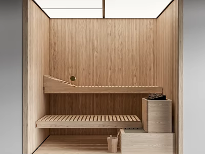 Modern Sauna Room 3d model