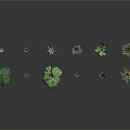Variety of Potted Indoor Plants with Different Leaf Shapes and Decorative Pots