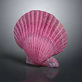 Vibrant Pink Scallop Shell Aquatic Animal Close Up View With Natural Texture