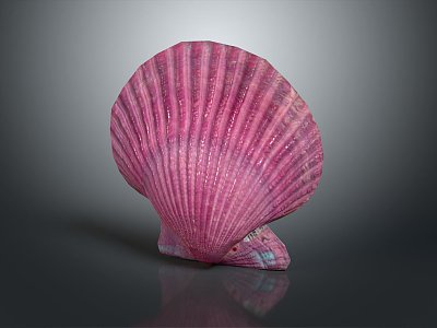 modern shell scallop mussel marine animal 3d model