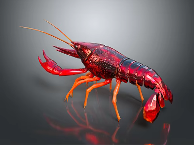Detailed Realistic Red Crayfish With Shiny Exoskeleton And Orange Legs 3d model