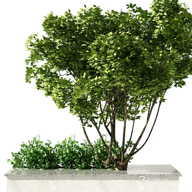 Tall Arbor Tree with Lush Green Leaves and Thick Branches Beside Small Shrub 3d model 