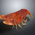 Red Spotted Lobster Fresh Aquatic Animal With Detailed Shell Texture And Claws