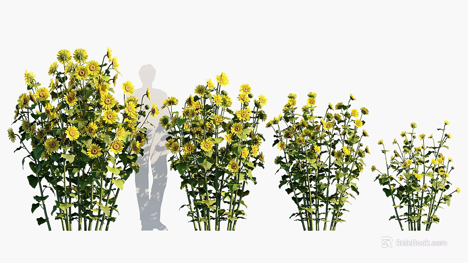 Yellow Flowering Crops Planted in Rows with Person Silhouette in Field 3d model 