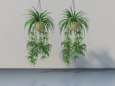 Lush Indoor Hanging Basket Plants with Trailing Greenery in Woven Planters 3d model