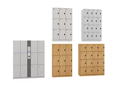 Modern Storage Lockers With Lockable Doors Multiple Compartments And Wooden Metal Designs 3d model