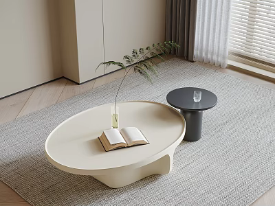 Cream Oval Coffee Table with Open Book Vase and Black Round Table on Woven Carpet 3d model