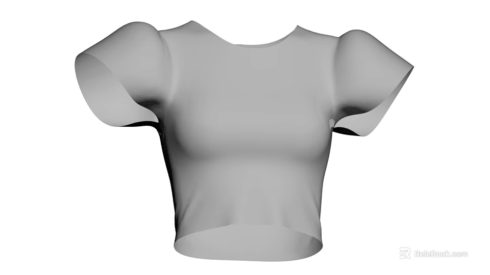 Stylish Gray Cropped Fitted Top With Puffed Sleeves Simple Design 3d model