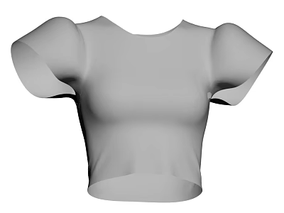 Stylish Gray Cropped Fitted Top With Puffed Sleeves Simple Design 3d model