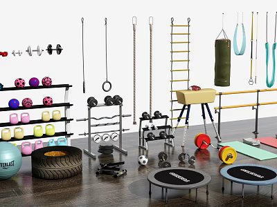 Assorted Sports Equipment Display Featuring Dumbbells Barbells Trampolines Gymnastic Rings Training Tires And Fitness Balls 3d model