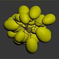 Fresh Shiny Yellow Grapes Bunch on Dark Background with Reflection