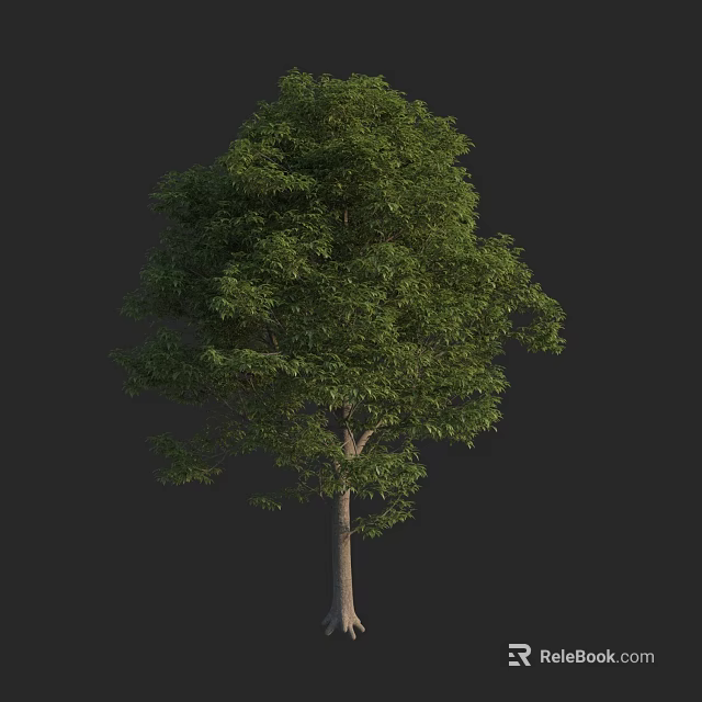 Lush Arbor With Green Foliage And Sturdy Trunk Against Dark Background 3d model 