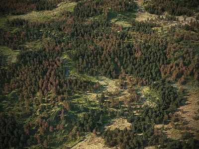 Arbor Trees In Lush Forest Landscape With Aerial View Of Green And Brown Foliage 3d model