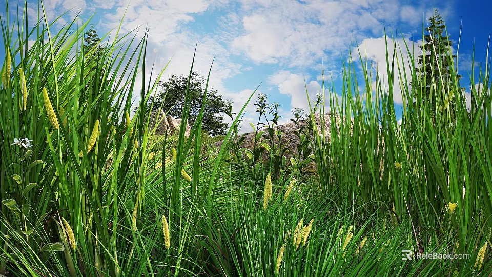Lush Green Grass With Yellow Flower Spikes Under Blue Sky White Clouds Trees And Stones 3d model 