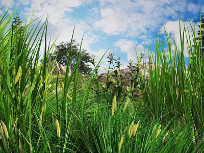 Lush Green Grass With Yellow Flower Spikes Under Blue Sky White Clouds Trees And Stones 3d model