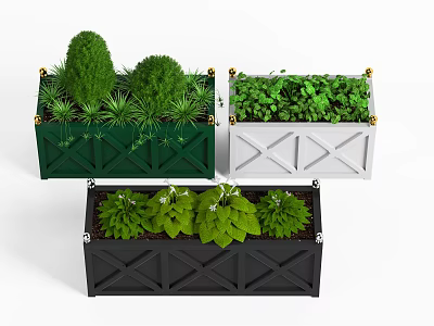 Potted Plants in Colorful Rectangular Planters with Green Foliage and Decorative Corners 3d model