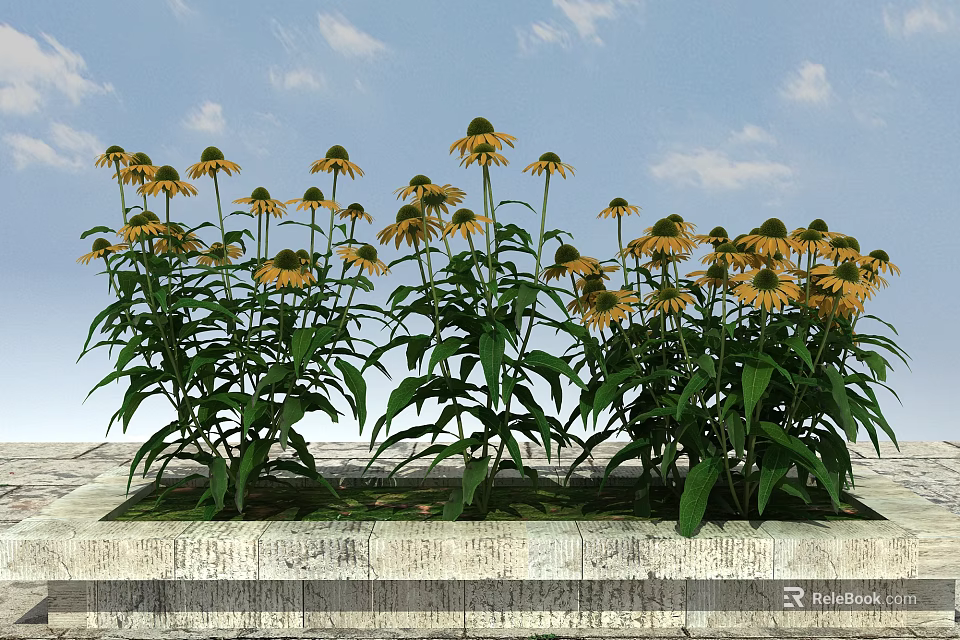 Vibrant Yellow Flowers With Lush Green Leaves On Stone Platform Under Blue Sky 3d model 