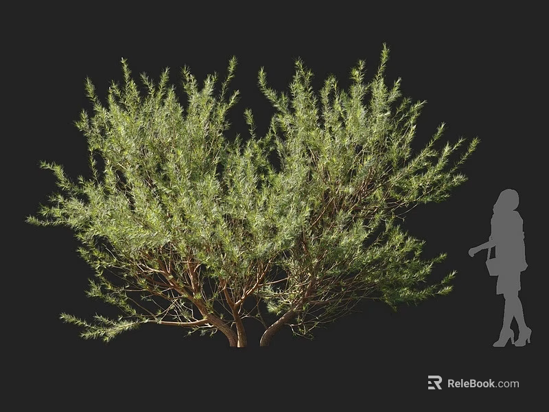 Lush Green Arbor With Dense Foliage And Human Silhouette For Scale 3d model