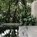 Garden Landscape Design With Lush Green Plants Water Pool And Tree Reflections