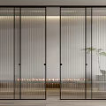 Modern Interior Sliding Doors with Black Frame Vertical Stripped Glass Wooden Floor and Plant