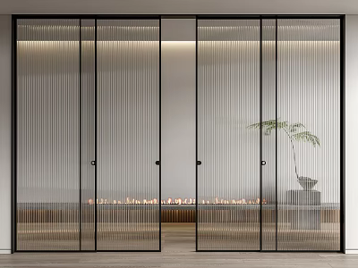 Modern Interior Sliding Doors with Black Frame Vertical Stripped Glass Wooden Floor and Plant 3d model