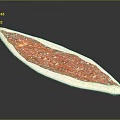 Long Shaped Pizza With Red Tomato Sauce Melted Cheese And Toppings On White Plate