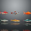 Six Colorful Fish with Different Patterns on Dark Background with Reflections