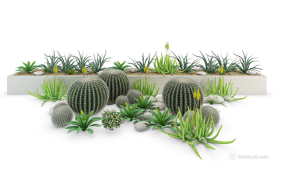Indoor Potted Plants Arrangement With Cacti Succulents Small Stones And Greenery 3d model 