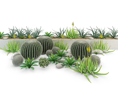 Indoor Potted Plants Arrangement With Cacti Succulents Small Stones And Greenery 3d model