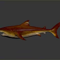 Colorful Sharks in Red Blue Green and Orange Hues Arranged on Gray Surface