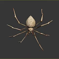 3D Spider Model With Textured Body Long Slender Legs And Red Lines On Dark Background