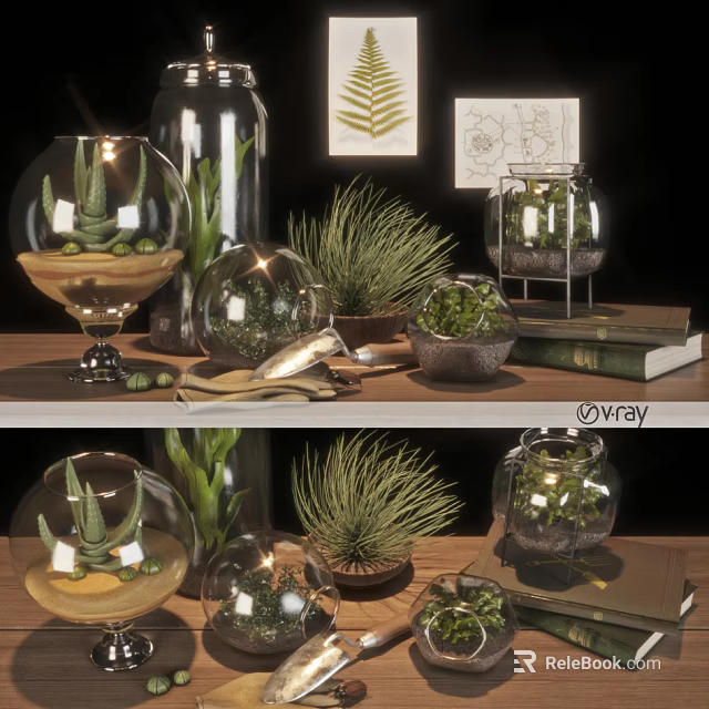 Glass Globe Vases With Succulents And Small Plants On Tabletop With Books 3d model 