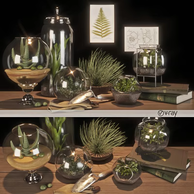 Glass Globe Vases With Succulents And Small Plants On Tabletop With Books 3d model