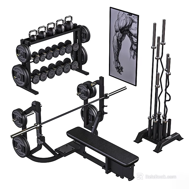 Complete Sports Equipment Set Including Dumbbells Barbells Bench Press And Rack 3d model 