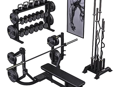 Complete Sports Equipment Set Including Dumbbells Barbells Bench Press And Rack 3d model