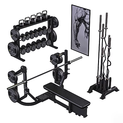 Complete Sports Equipment Set Including Dumbbells Barbells Bench Press And Rack 3d model