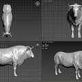 Bullfighting bull 3d model