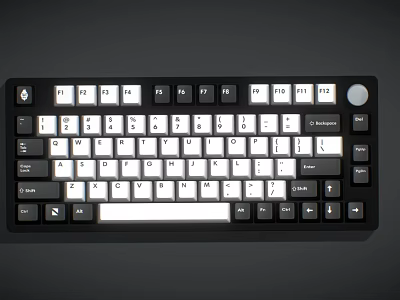 Sleek Modern Mechanical Keyboard With Black Frame White Keycaps And Function Keys 3d model