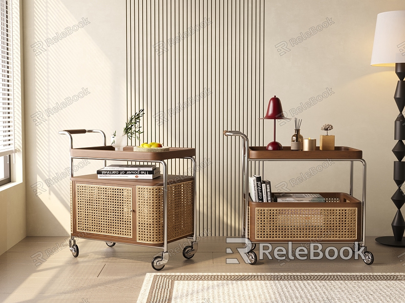 Modern Cart Rattan Locker model