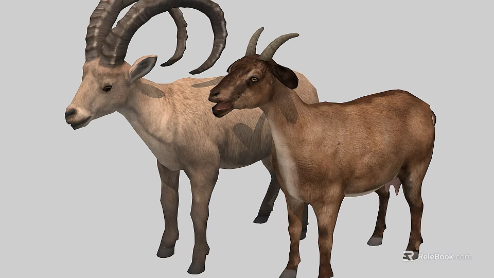 Light And Dark Brown Goats With Curved And Small Horns Standing Together 3d model 