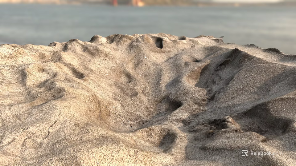 Exquisite Garden Ornaments Featuring Intricate Sand Textures and Natural Wind Patterns 3d model 