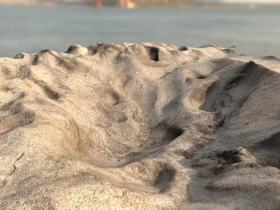Exquisite Garden Ornaments Featuring Intricate Sand Textures and Natural Wind Patterns 3d model