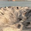 Exquisite Garden Ornaments Featuring Intricate Sand Textures and Natural Wind Patterns