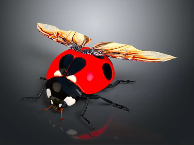 Red Ladybug With Black Spots Spread Golden Wings On Dark Background With Reflection 3d model