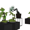 Bonsai Trees With Curved Branches And Lush Foliage In Black Square Pots And Metal Stand