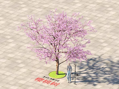 Deciduous Tree With Pink Blossoms Standing On Paved Ground Near Lamp Post 3d model
